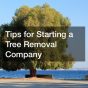 Tips for Starting a Tree Removal Company
