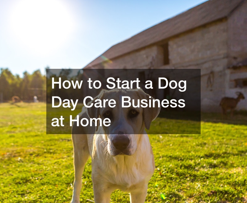 How to Start a Dog Day Care Business at Home